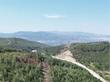 Kahramankazan Bahçe Peyzajı